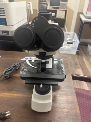 AmScope Binocular Biological Microscope with Mechanical Stage and Halogen Illumination