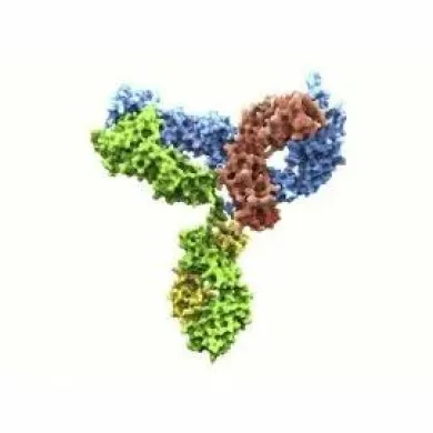Antibodies from Sysmex
