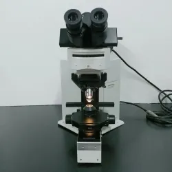 Olympus BX50 Research Microscope with Water Immersion, Fluorescence, and DIC, 3 of 11