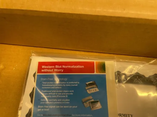 Invitrogen Western Blot Device