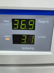 Thermo Fisher Scientific Isotemp Double Stack CO2 Incubator Model 3530 with Dual Independent Chambers, 3 of 4