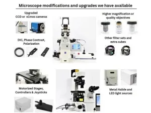 Leica DMi8 Stellaris 5 Confocal Laser Scanning Fluorescence Microscope System with Adaptive Focus Control Module, 44 of 44