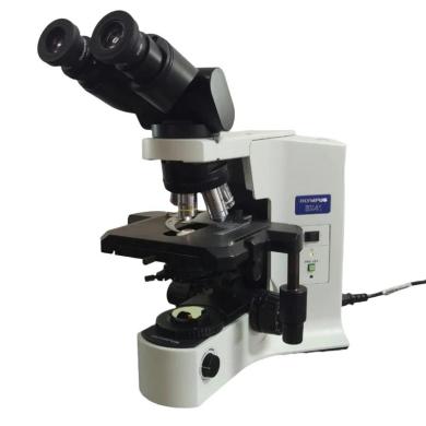 Olympus BX41 Microscope with Tilting Binocular Head and 100x Oil Immersion Objective-cover