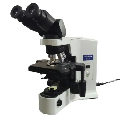 Olympus BX41 Microscope with Tilting Binocular Head and 100x Oil Immersion Objective