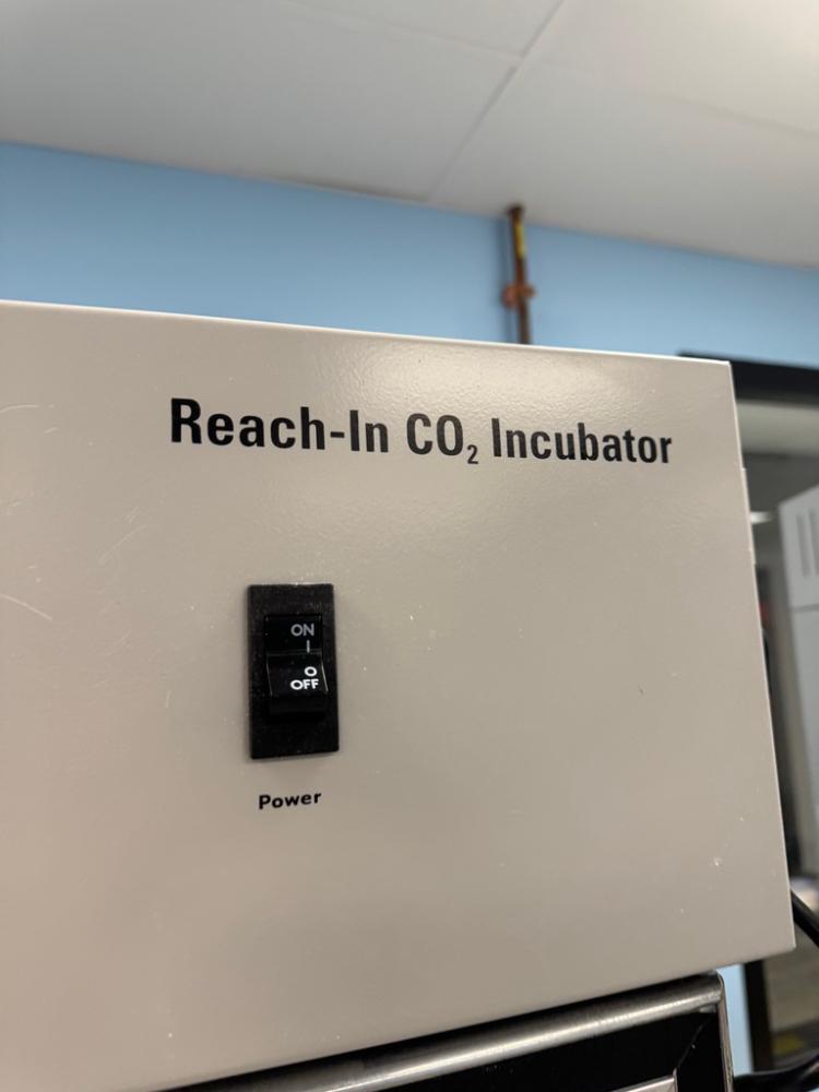 Thermo Scientific Reach-In CO2 Cell Culture Incubator with Controlled Temperature and Humidity
