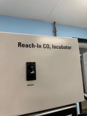 Thermo Scientific Reach-In CO2 Cell Culture Incubator with Controlled Temperature and Humidity