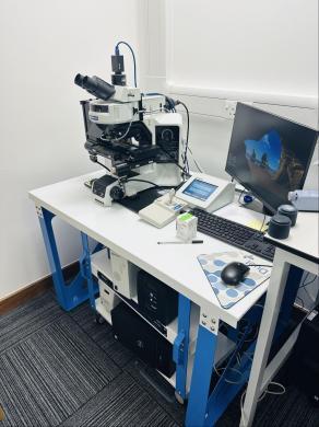Olympus BX63 Automated Fluorescence Microscope System with Motorized Control and Imaging Automation-cover