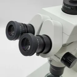 Olympus Stereo Microscope SZX7 with BF/DF Transmitted Light Stand, 6 of 6