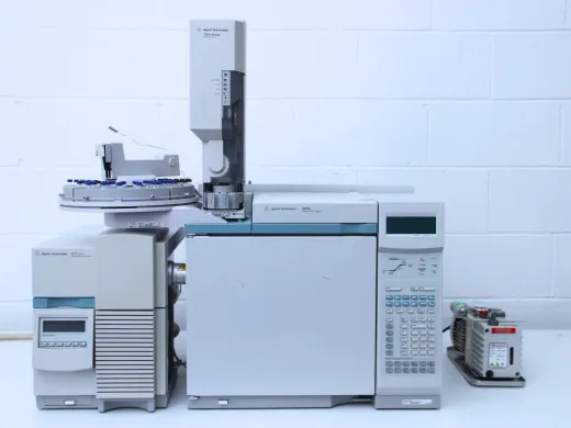 Agilent 6890N Gas Chromatograph with 5973 Inert Mass Selective Detector