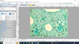Nikon Eclipse E800 Upright Fluorescence Microscope with CFI60 Optical System and Digital Imaging, 19 of 27