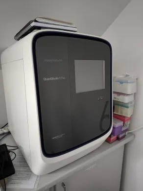 Applied Biosystems QuantStudio 6 Real-Time PCR System, 96-/384-Well