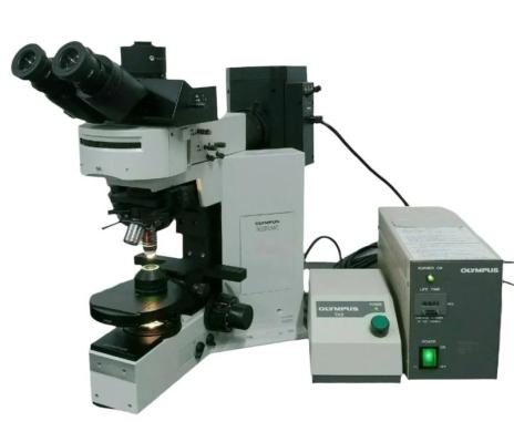 Olympus BX50 Research Microscope with Water Immersion, Fluorescence, and DIC-cover