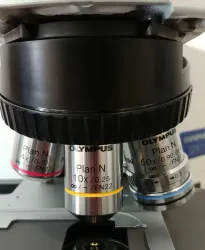 Olympus BX41 Clinical Pathology Microscope with 50x Oil Immersion and Binocular Head, 5 of 7