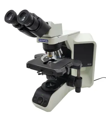 Olympus BX43 LED Stand Microscope with Fixed Binocular Head and 100x Oil Objective