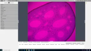 Olympus BX43F Upright LED Fluorescence Microscope with Integrated Imaging Workstation, 15 of 21