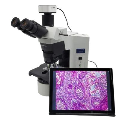 Olympus BX45 Trinocular Phase Contrast Microscope with 5.0 MP Camera-cover