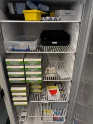 Thermo Scientific -20°C Ultra-Low Temperature Laboratory Freezer, 2 of 4