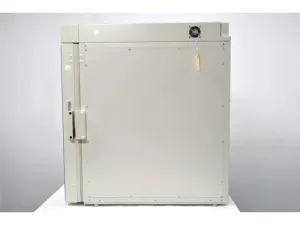Thermo Scientific Cytomat 10C Automated CO2 Incubator with Carousel and Linear Transfer Station, 13 of 16