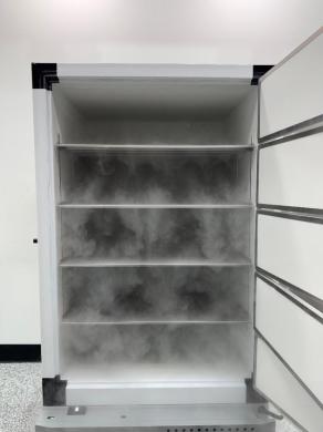 Thermo Fisher Scientific RDE60086FA -80°C Ultra Low Temperature Freezer-cover