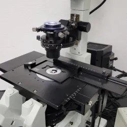 Olympus IX71 Inverted Microscope with Fluorite Objectives, Phase Contrast, and Fluorescence, 6 of 8
