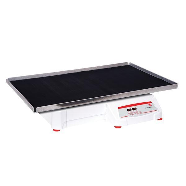 Orbital Shaker SHHD6825DG by Ohaus