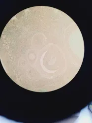 Nikon Eclipse TE200 Inverted Microscope with Objectives, 35 of 40