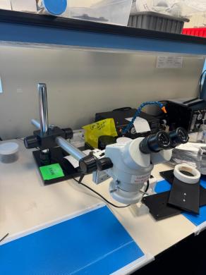 Stereo Microscope with Binocular Head and Adjustable Eyepieces on Horizontal Arm Stand-cover