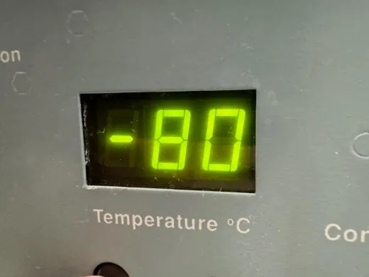 Forma Scientific -86C Ultra Low Temperature Laboratory Freezer