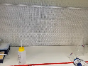 Interflow Horizontal Laminar Flow Cabinet Cross-Flow Clean Bench, 4 of 4