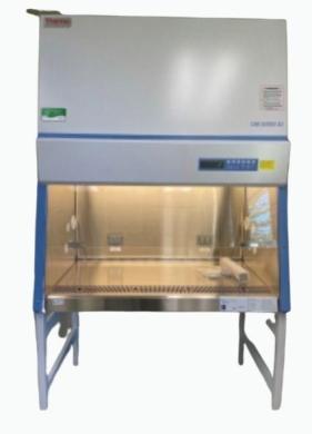 Thermo Scientific 1385 Class II Type A2 Biosafety Cabinet with UV Sterilization and Smart Coat Interior-cover
