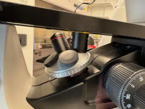 Invitrogen Evos XL Core Inverted Fluorescence Microscope for Cell Imaging, 2 of 3