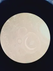 Nikon Eclipse TE200 Inverted Microscope with Objectives, 22 of 40