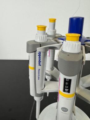 Eppendorf Research Plus Single Channel Adjustable Volume Pipettes with Stand, Pack of 6-cover