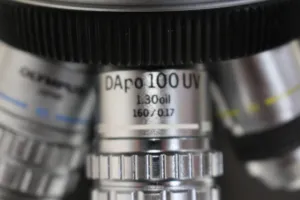 Olympus BH2-RFCA Trinocular Fluorescence Microscope, 6 of 10