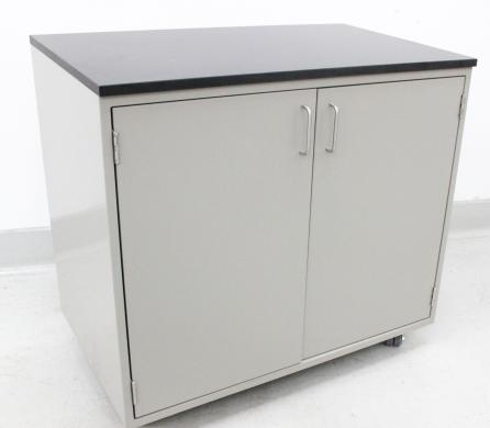 Fisher Hamilton Mobile Storage Cabinet Double Door with 2 Adjustable Shelves, 23x36 in.-cover