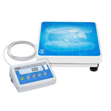 Radwag C315.60/150.OK-1 Personal Scale