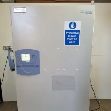 Thermo Scientific 600V TSX Series Ultra Low Temperature Freezer for Laboratory Biostorage
