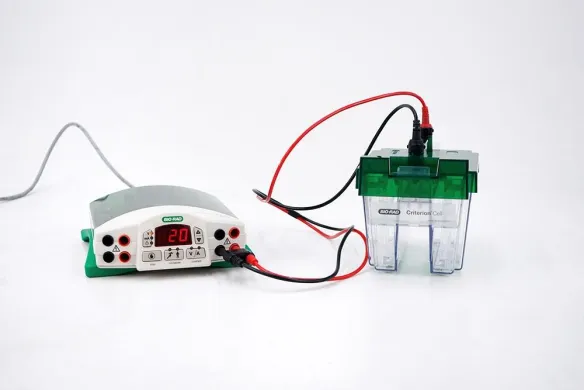 Bio-Rad Criterion Cell and PowerPac Basic Electrophoresis System 1656019