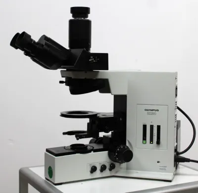 Olympus BX50F4 Upright Optical Microscope with U-LH100 Halogen Lamp House