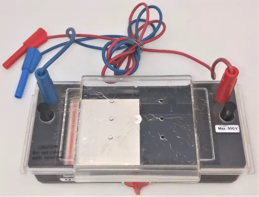Pharmacia GNA-100 Horizontal Agarose Gel Electrophoresis Chamber, Electrophoresis