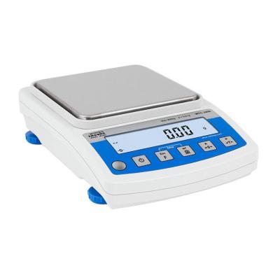 Radwag WTC 600 Precision Balance-cover