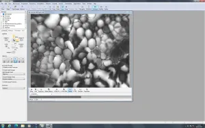 Zeiss PALM MicroBeam Laser Microdissection System with PC and Software, 17 of 109