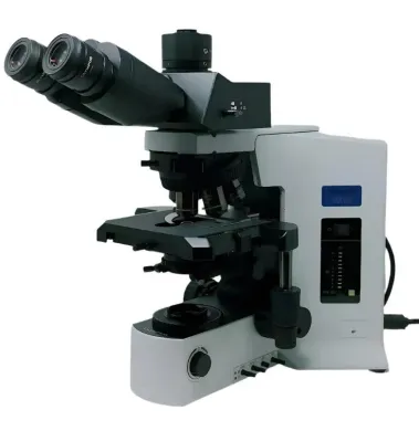 Olympus BX51 Microscope with Plan Apo Objectives and Super Wide Trinocular Head