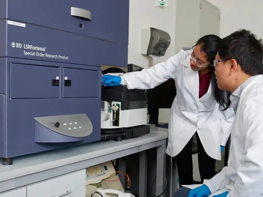 BD Biosciences LSRFortessa