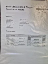Bruker Microflex MALDI-TOF Mass Spectrometer for Microbial and Biomolecular Analysis, 20 of 29