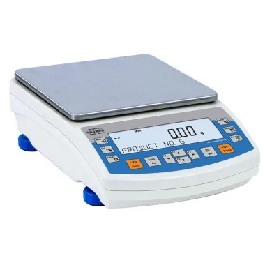 Radwag PS 600.R2.1 Precision Balance