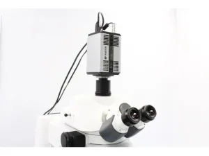 Andor Zyla 5.5 sCMOS Monochrome Scientific Microscope Camera with USB3.0 Interface, 3 of 9