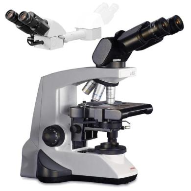 Labomed Lx500 Binocular LED Dual View Teaching Microscope-cover