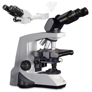 Labomed Lx500 Binocular LED Dual View Teaching Microscope