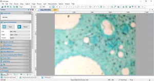Nikon Eclipse Ti-S Motorized Inverted Fluorescence Microscope with Digital Imaging, 12 of 20